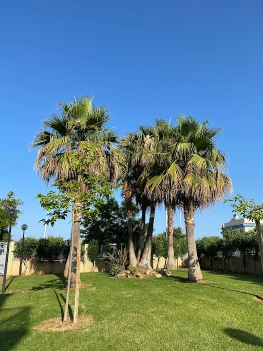 Bajo en primera línea de playa Alcoceber Exterior foto